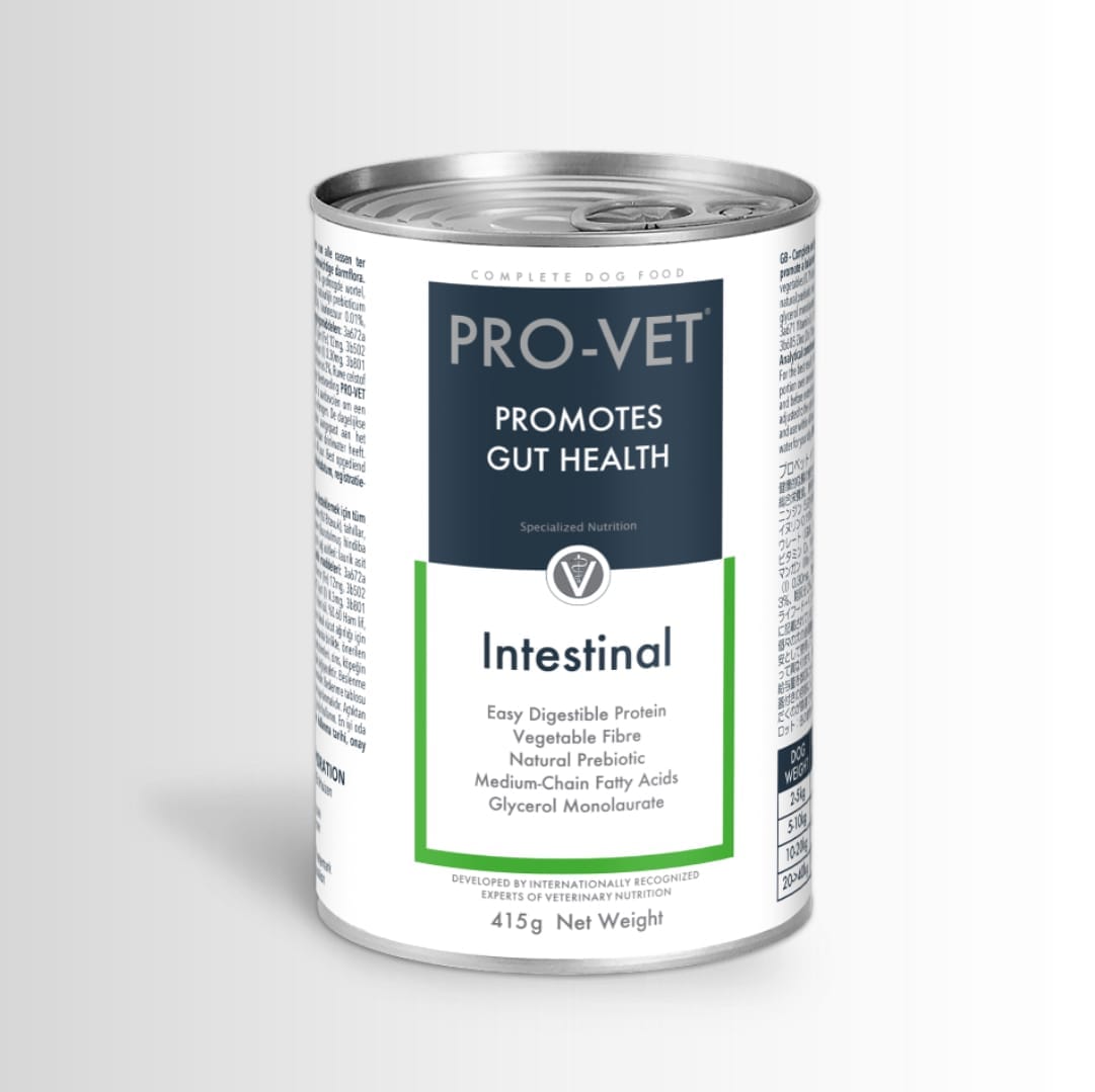 Pro-Vet Intestinal can for dogs on a white background